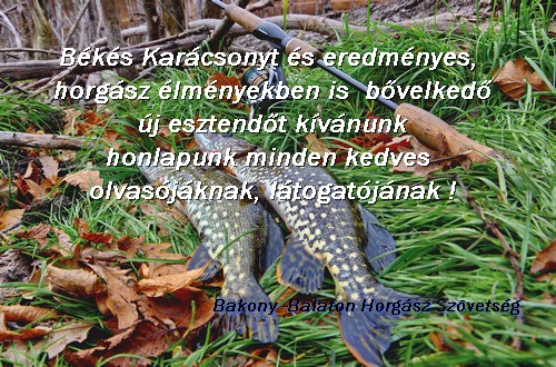 Karacsonyi anzix