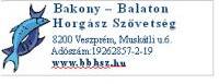 fejblyegz