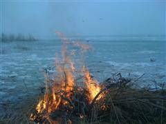 tli_balaton_2009_01.04._007_wince