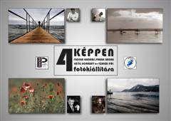 4kppen_wince