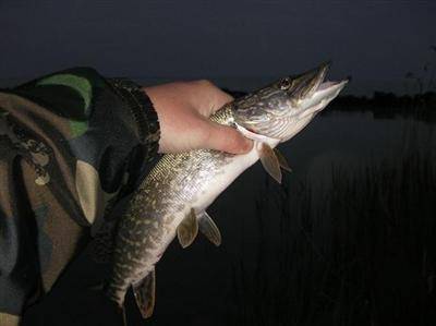 rapala_j9_sfc_35cm_custom