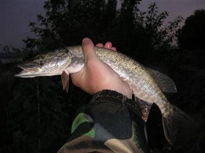rapala_j9sfc-2_25cm_custom