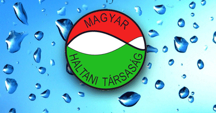M-Haltani trsasg