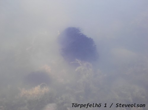 trpefelh_1