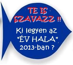 Szavazz