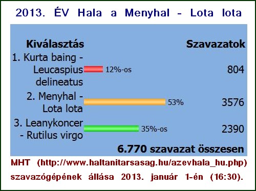 Menyhal_a_gyztes