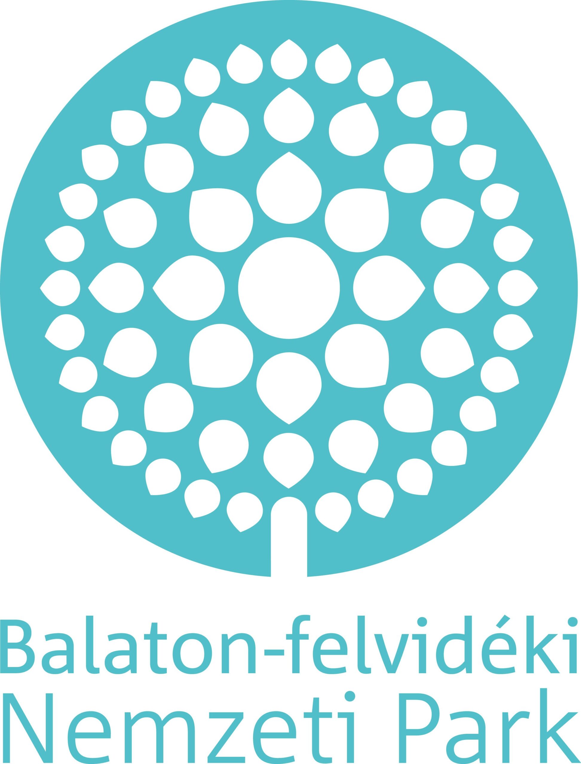BFNP logo 2013 magyar raszteres RGB 1