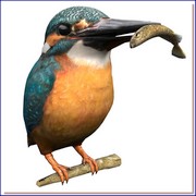 jegmadar2