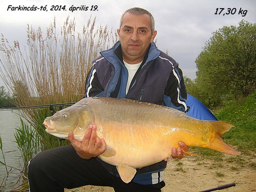 DSC0219Apa