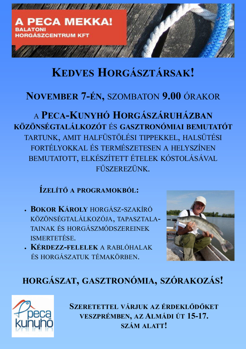 Novemberi bemutato masolat
