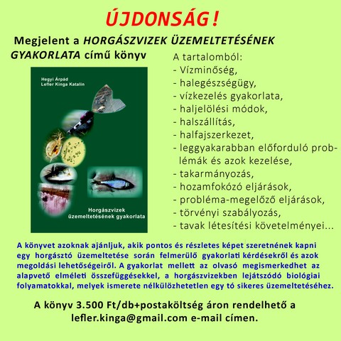 Hirdetes ecaf