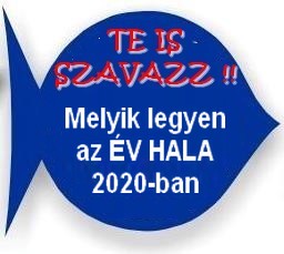 Szavazz 2020