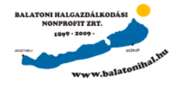 Balhal logo