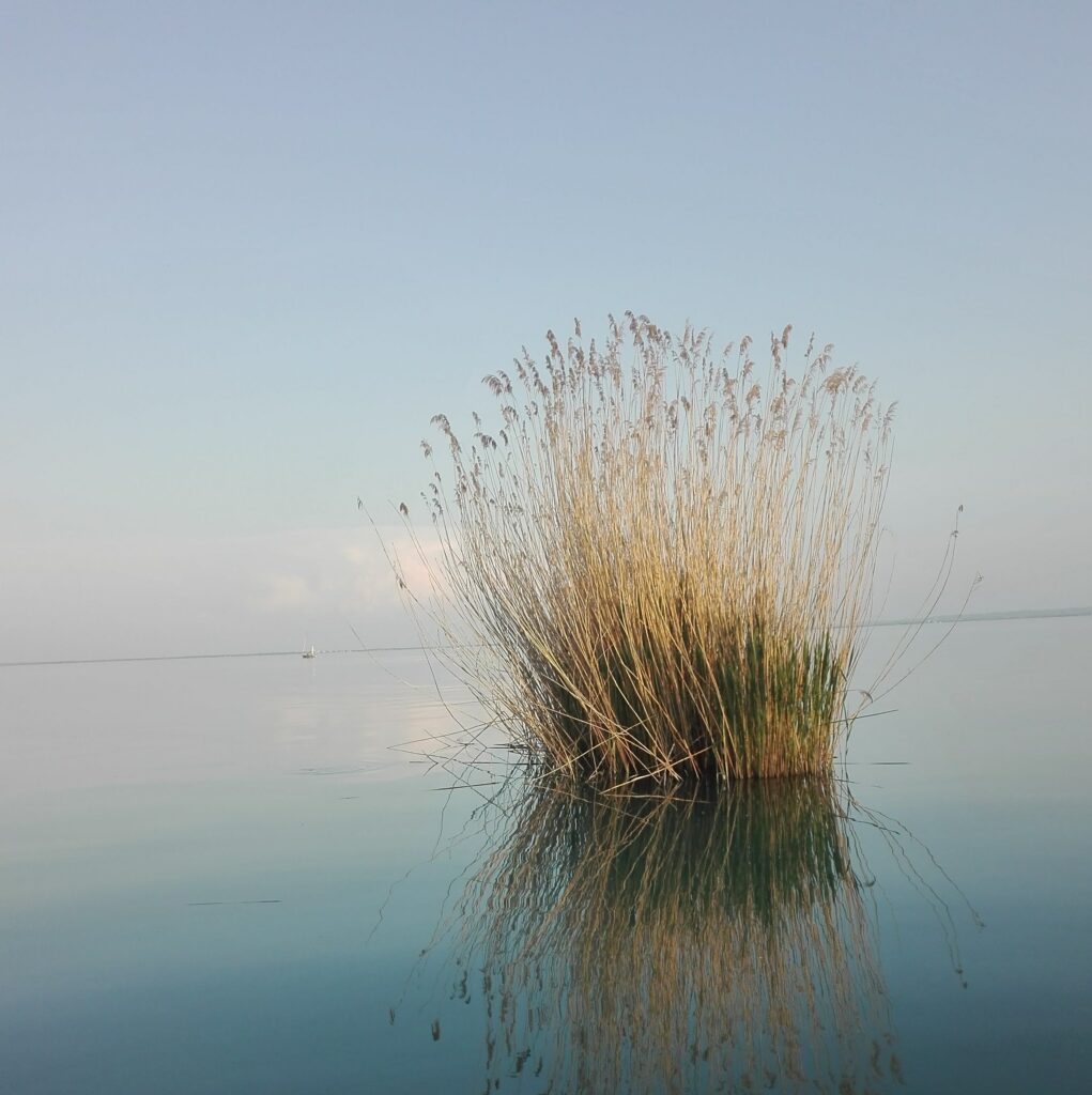 Balaton copy