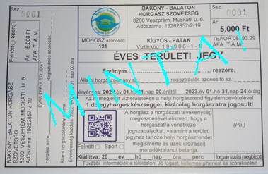 Kigyos jegy minta
