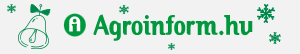 ai-logo-xmas_copy.png