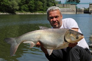 szarka3