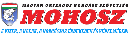Mahor nyito logo copy