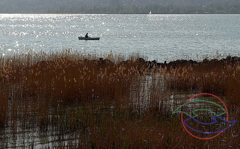 phoca thumb l fecske andras 9 20130422 1134461873