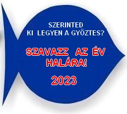 Szavazz 2020 copy