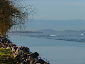 Balaton 300 copy