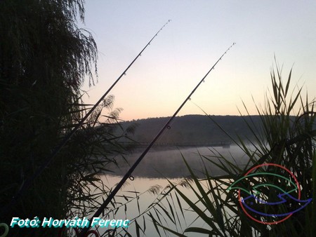 phoca thumb l eletkepek 8 20130423 1115766183