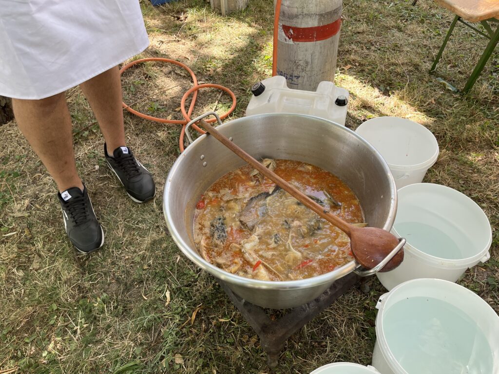 img 0882[1]